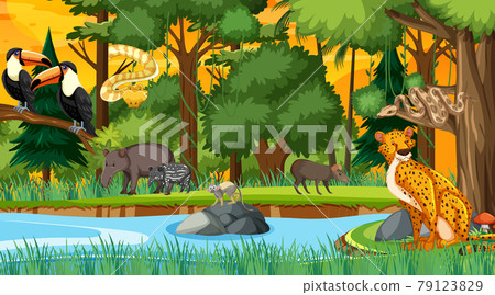 Forest at sunset time scene with different wild... - Stock Illustration ...