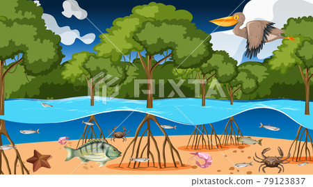 Animals live in mangrove forest at night scene Animals live in mangrove forest at night scene 79123837
