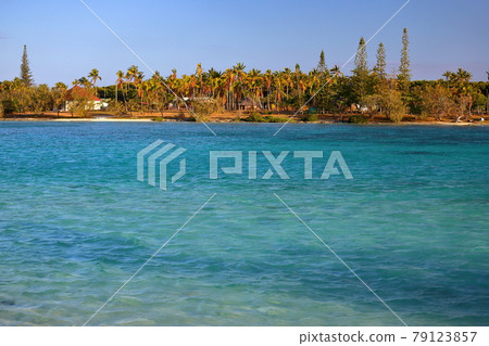 New Caledonia, South Pacific Melanesia, the island closest to heaven in the Loyalty Islands, Ouvea Island, the blue sea of Lekin Bay New Caledonia, South Pacific Melanesia, the island closest to heaven in the Loyalty Islands, Ouvea Island, the blue sea of Lekin Bay 79123857