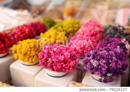 Colorful gypsophila Colorful gypsophila 79124127