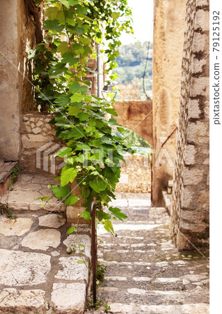 Street in the village of Saint-Paul-de-Vence in the south of France Street in the village of Saint-Paul-de-Vence in the south of France 79125192