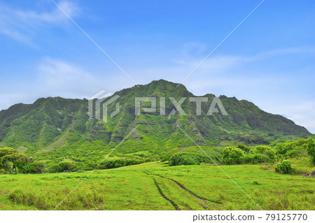 Hawaii Oahu Kualoa Ranch Hawaii Oahu Kualoa Ranch 79125770