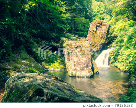在初夏的山間溪流 在初夏的山間溪流 79126188