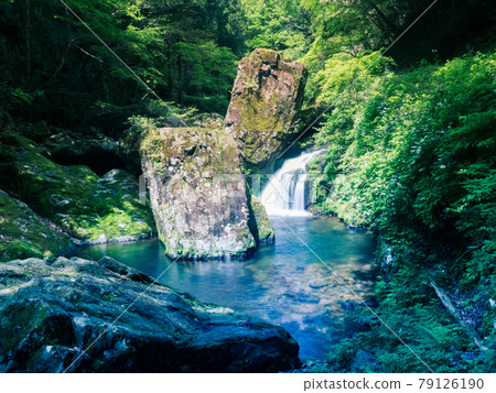 Mountain stream in early summer Mountain stream in early summer 79126190