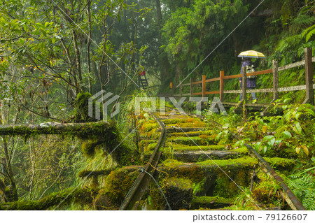 台灣，太平山，見晴古道，台湾、太平山、清旧道を参照、Taiwan, Taiping Mountain 79126607