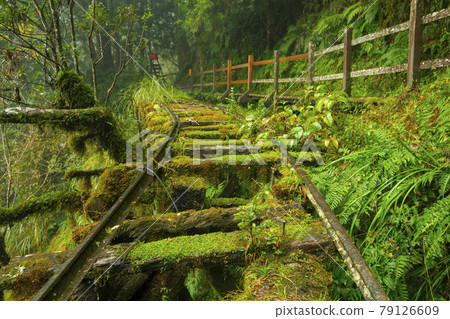 台灣，太平山，見晴古道，台湾、太平山、清旧道を参照、Taiwan, Taiping Mountain 79126609