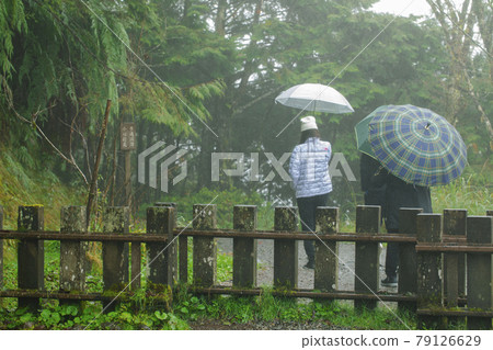 Taiwan, Taiping Mountain, Jianqing Ancient Road, Taiwan, Taiping Mountain, Qingjiu Road Reference, Taiwan, Taiping Mountain 79126629