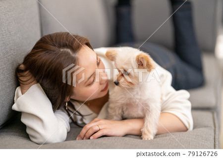 Young woman talking to a small dog 79126726