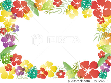 七彩芙蓉背景素材矢量圖漸變花夏初夏暑假 79126802