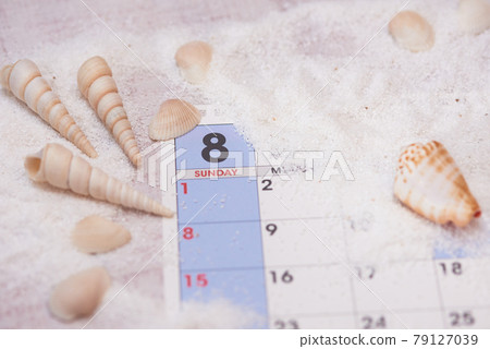 Image of August Summer Image of August Summer 79127039