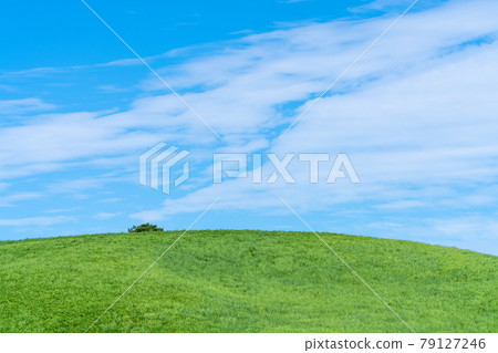 草原和藍天的照片 藍天/白雲 草原和藍天的照片 藍天/白雲 79127246