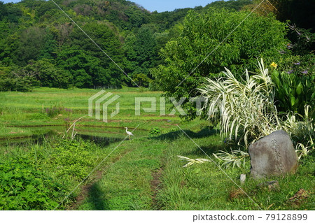 June Machida 343 Kusaki Pagoda (monument tower), Zushi Onoji Historical Environmental Conservation Area (satoyama landscape) 79128899