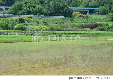 稻田後的長野高速公路和筱井線 79129615