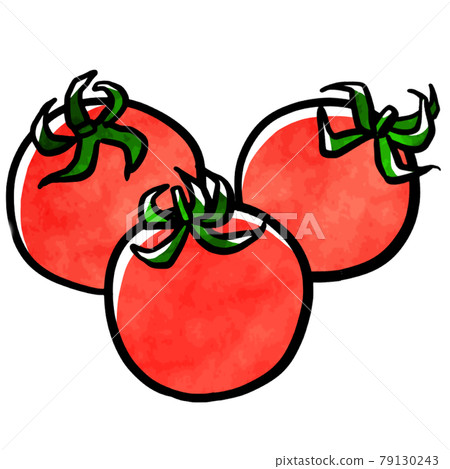 Three mini tomatoes 79130243