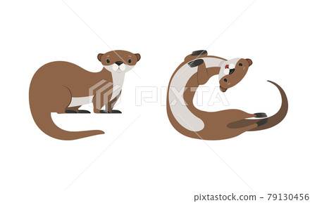 Set of Cute Weasel, Adorable Funny Otter Animal Cartoon Vector Illustration Set of Cute Weasel, Adorable Funny Otter Animal Cartoon Vector Illustration 79130456