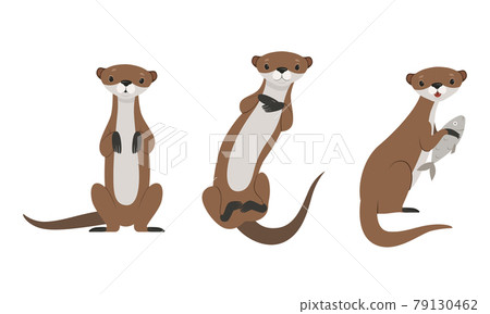 Set of Cute Weasel, Adorable Funny Wild Animal Cartoon Vector Illustration 79130462