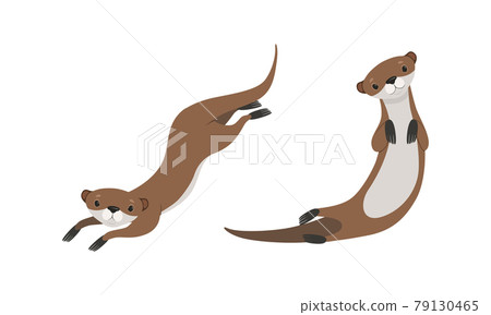 Set of Cute Weasel in Various Poses, Adorable Funny Wild Animal Cartoon Vector Illustration Set of Cute Weasel in Various Poses, Adorable Funny Wild Animal Cartoon Vector Illustration 79130465