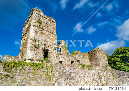 The castle ruins in Manorhamilton, erected in 1634 by Sir Frederick Hamilton - County Leitrim, Ireland 79131084