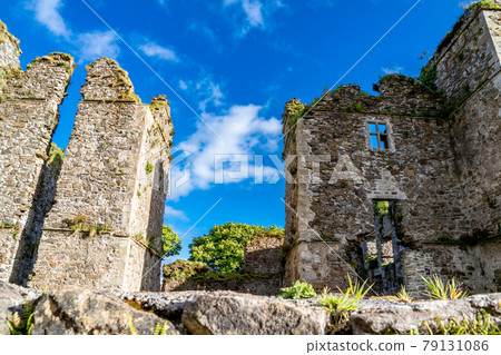 The castle ruins in Manorhamilton, erected in 1634 by Sir Frederick Hamilton - County Leitrim, Ireland 79131086