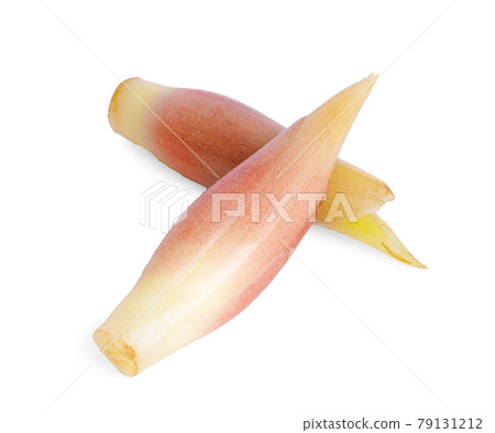 Myoga an isolated on white background 79131212