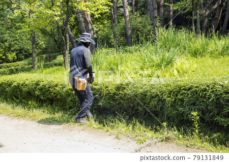 Arboretum Management 79131849