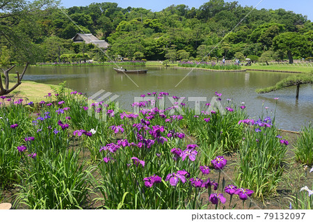 Sankeien early summer 79132097