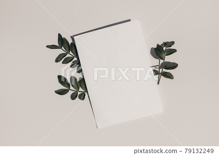 Summer wedding stationery mock-up. Blank greeting card, invitation and dark green lentisk leaves on beige table background in sunlight. Natural light and shadow overlay. Flat lay, top view. 79132249