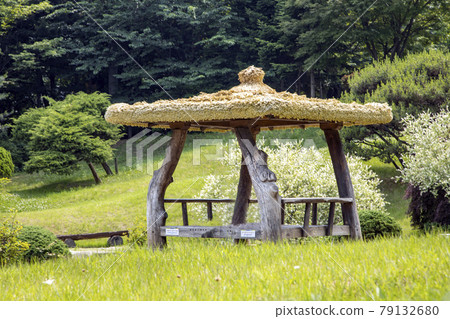 Thatched hut Thatched hut 79132680