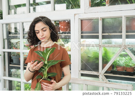 Florist working with plants in the garden Florist working with plants in the garden 79133225