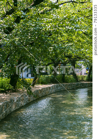 高瀨川（京都市） 79133335