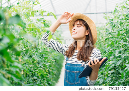 Smart Agri (Smart Agriculture) Smart Agri (Smart Agriculture) 79133427