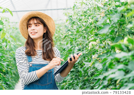 Smart Agri (Smart Agriculture) 79133428