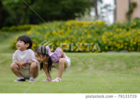 Lifestyle Children's Playground Growth 79133729