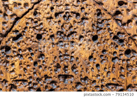 Creative background. Trypophobia concept, fear of close-packed holes. Creative background. Trypophobia concept, fear of close-packed holes. 79134510