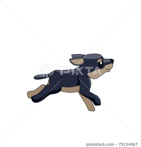 The little dark wolf cub runs and plays. Cartoon character of a dangerous mammal animal. A wild forest creature with black fur. Side view. Vector flat illustration isolated on a white background The little dark wolf cub runs and plays. Cartoon character of a dangerous mammal animal. A wild forest creature with black fur. Side view. Vector flat illustration isolated on a white background 79134867