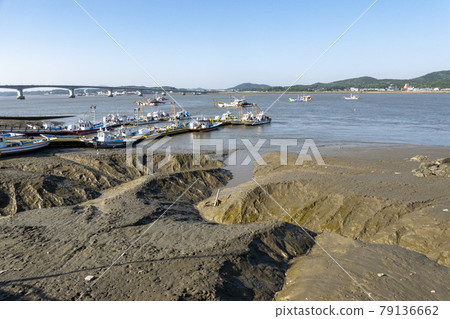 Exposed tidal flats 79136662