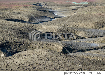 Exposed tidal flats 79136663