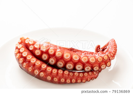 Octopus (hot water). (White background) Octopus (hot water). (White background) 79136869