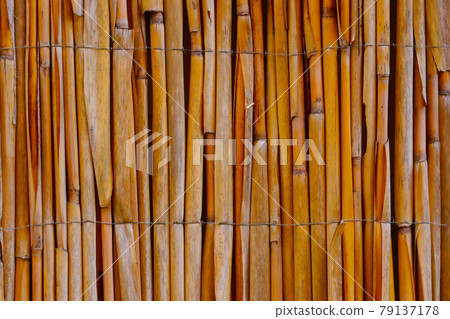 Close-up on a bamboo fence in the park. Background, texture. Close-up on a bamboo fence in the park. Background, texture. 79137178