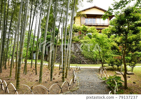 神奈川縣立大磯城山公園舊吉田茂住宅竹徑和舊吉田茂住宅 神奈川縣立大磯城山公園舊吉田茂住宅竹徑和舊吉田茂住宅 79137237