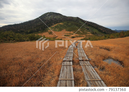 Mt. Shibutsu, Ozegahara, Hiuchigadake trekking 79137368