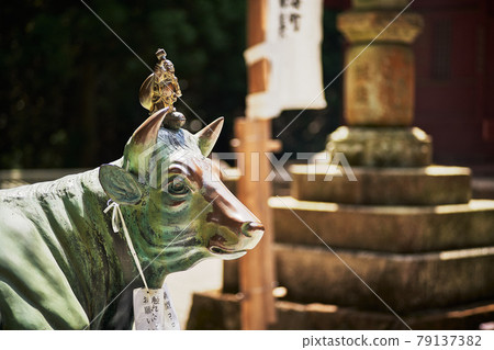 三重縣金剛炭寺院內的福湯和大黑 79137382