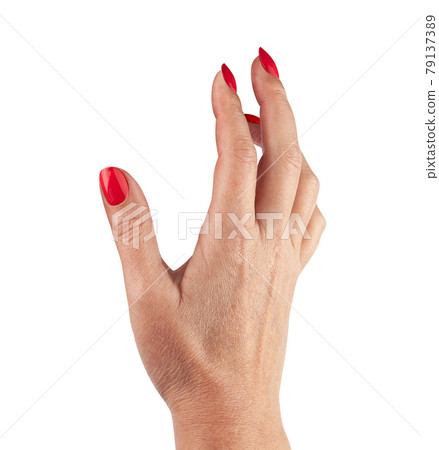 Female hand isolated on white background 79137389