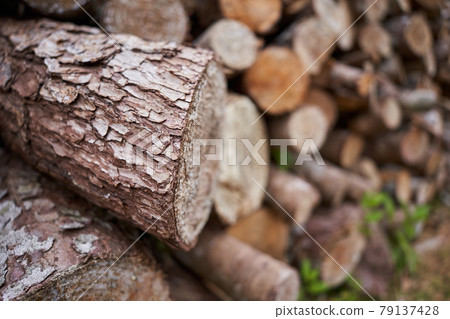 用作木柴的木材原木 79137428