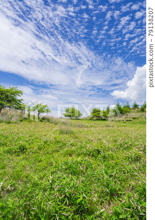 Fresh green Takabotchi plateau Fresh green Takabotchi plateau 79138207