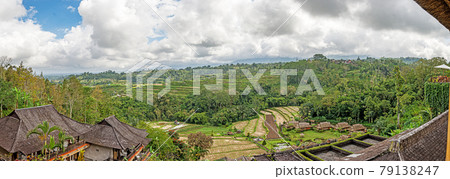 View over typical rice terraces on the island of Bali in Indonesia 79138247