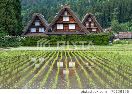 《Gifu Prefecture》 Sunset / early summer in Shirakawa-go 《Gifu Prefecture》 Sunset / early summer in Shirakawa-go 79139106