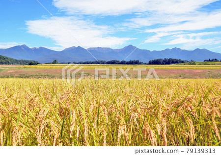 View toward Minami Yatsugatake from the Chino City side (Chino City, Nagano Prefecture) [2019.9] 79139313