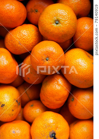 糖橘（十月橘、冰糖橘） 79140919