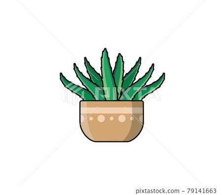 Aloe vera cactus vector illustration in flat style. Aloe vera cactus vector illustration in flat style. 79141663